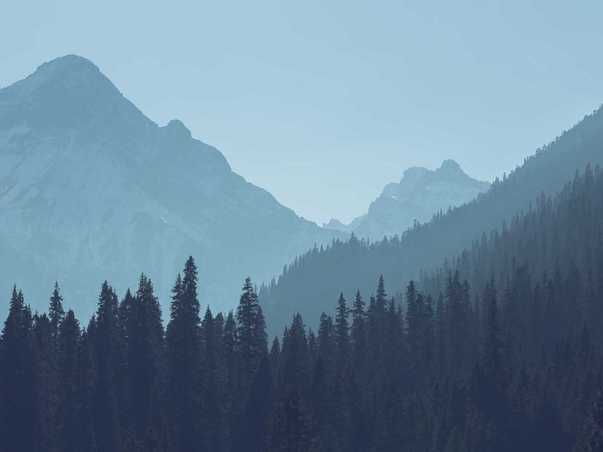 This is my&nbsp;Scooter